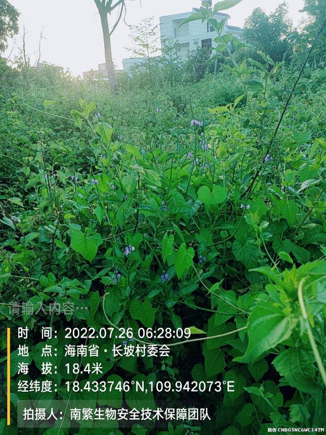 请输入内容…