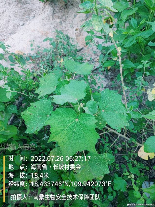 请输入内容…