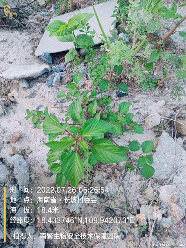 请输入内容…
