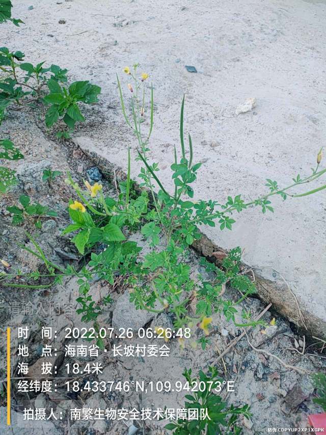 请输入内容…
