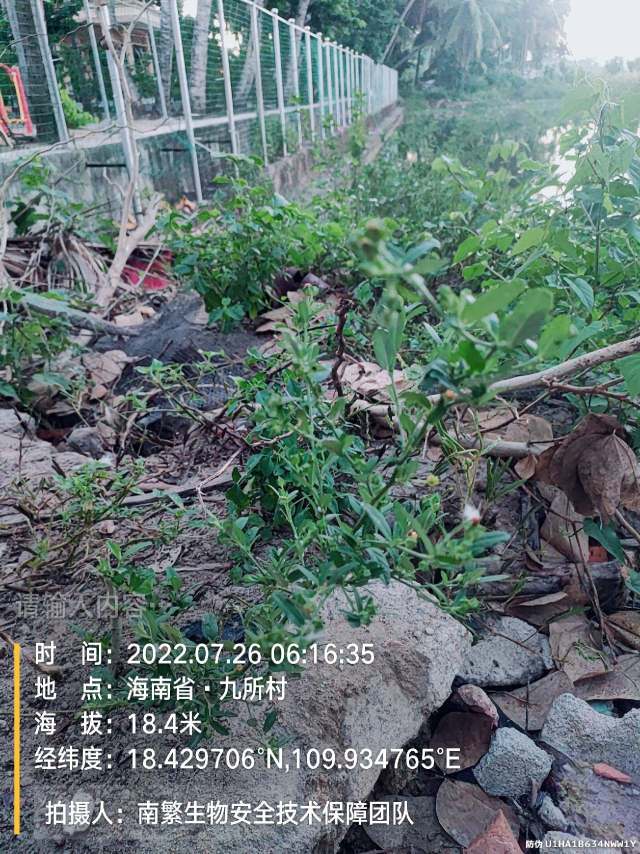 请输入内容…