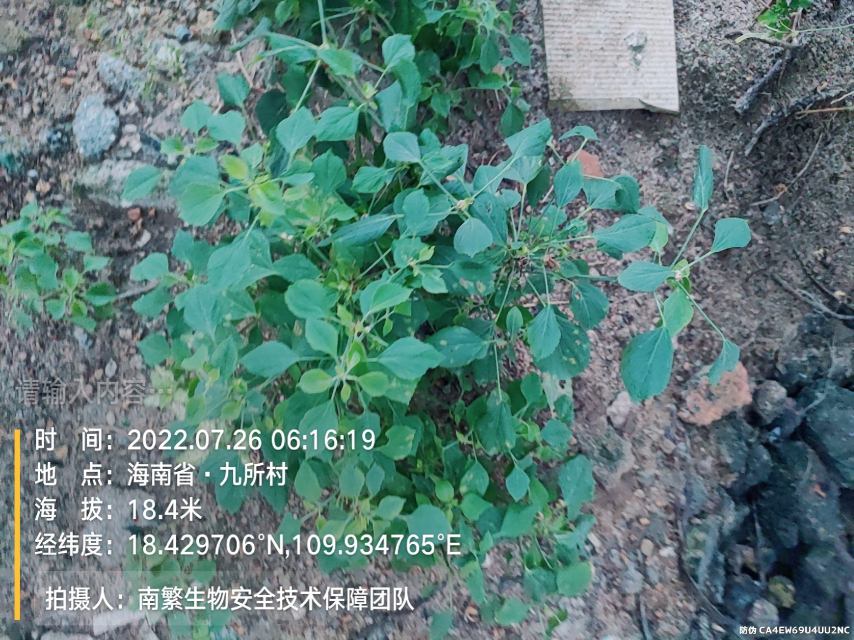 请输入内容…
