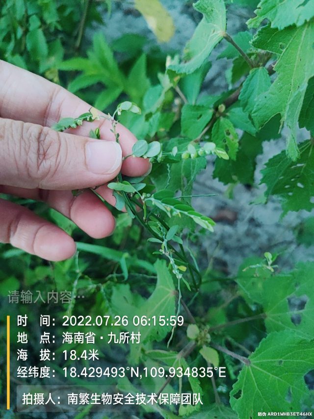 请输入内容…