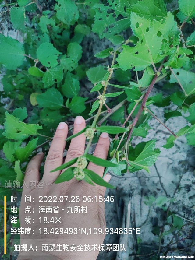 请输入内容…