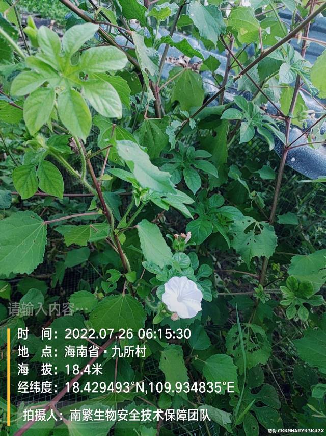 请输入内容…