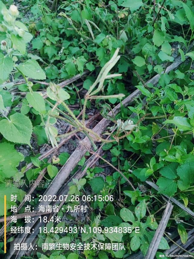 请输入内容…