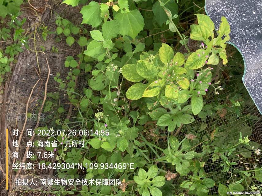 请输入内容…