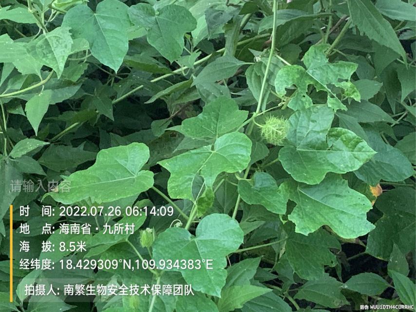 请输入内容…
