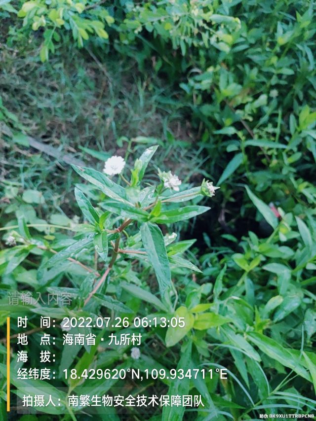 请输入内容…