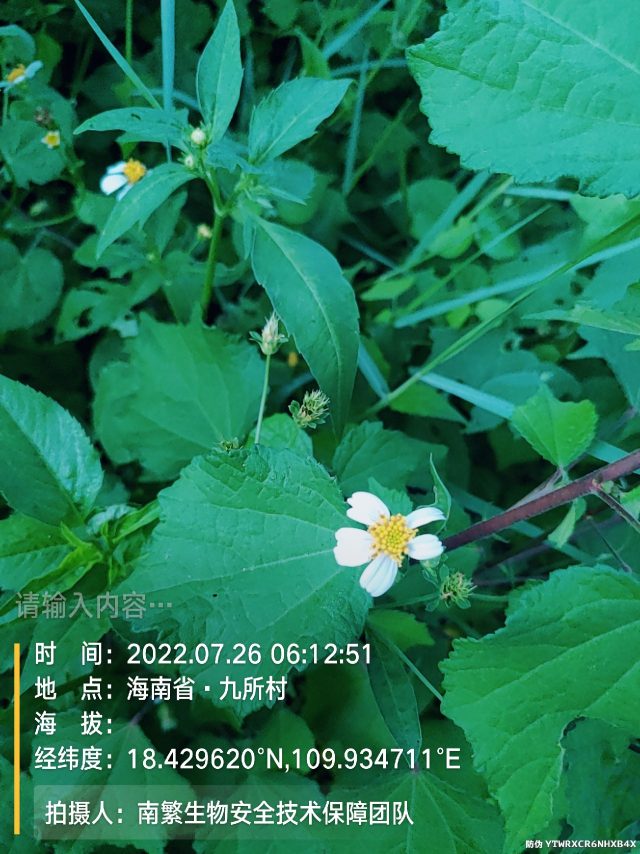 请输入内容…