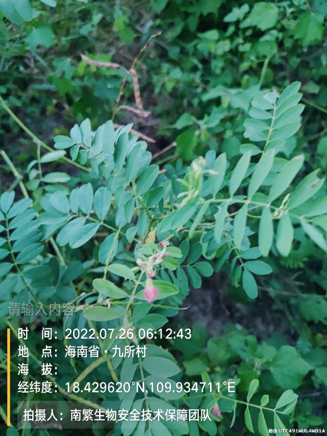 请输入内容…
