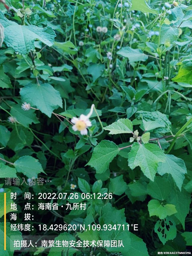请输入内容…