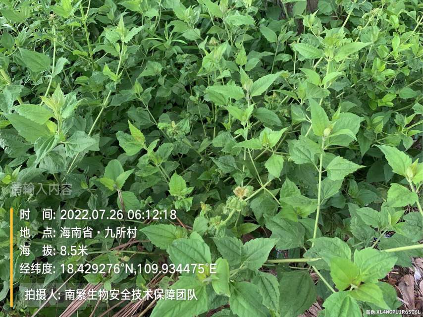 请输入内容…