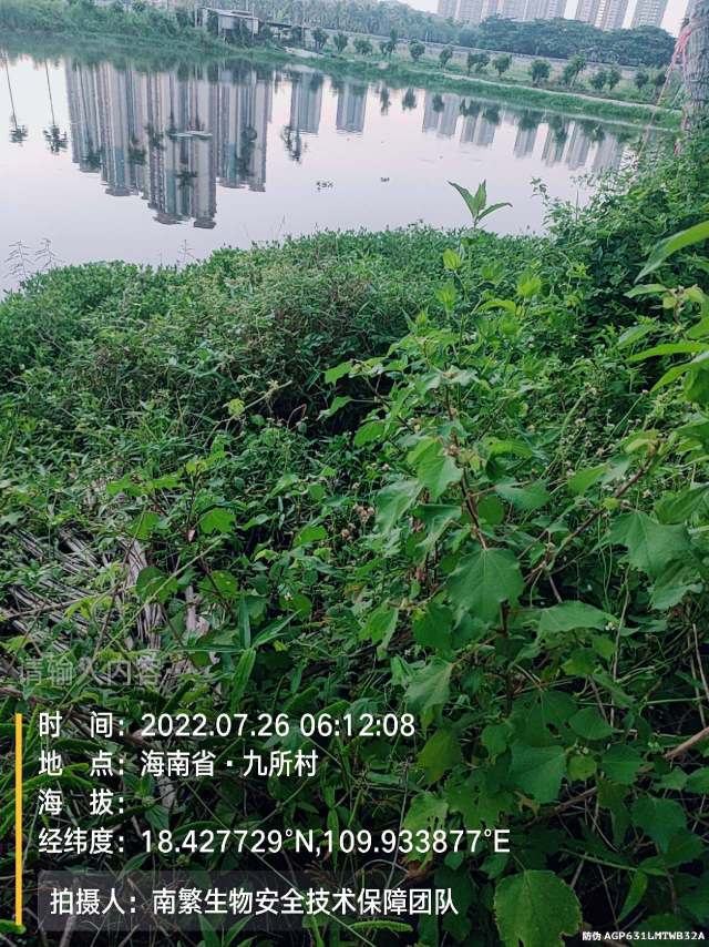 请输入内容…