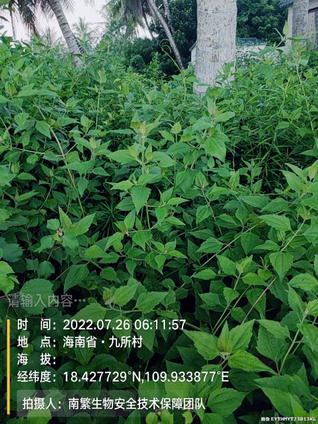 请输入内容…