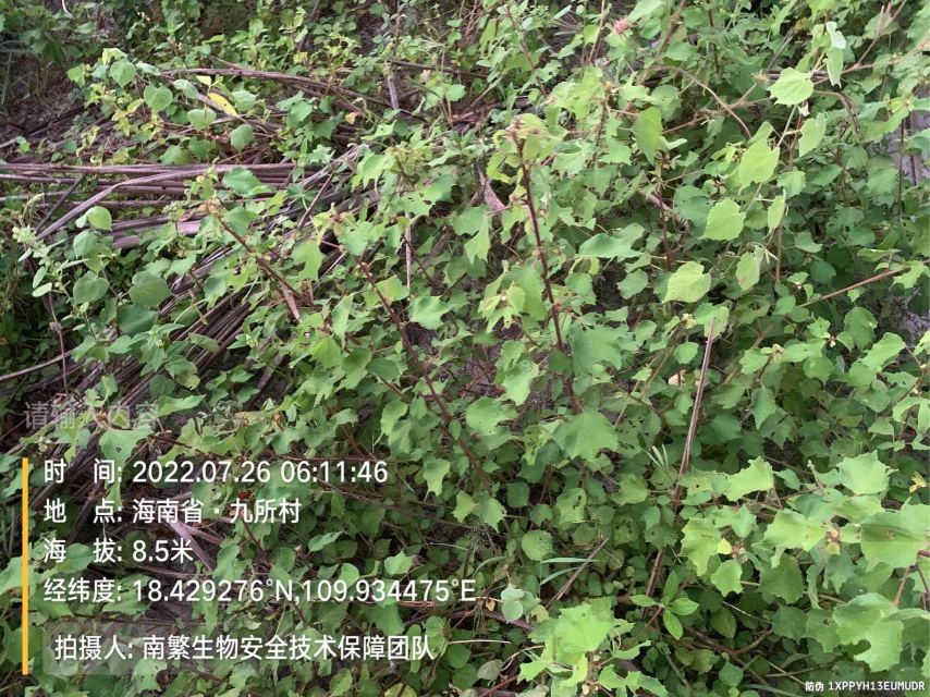 请输入内容…