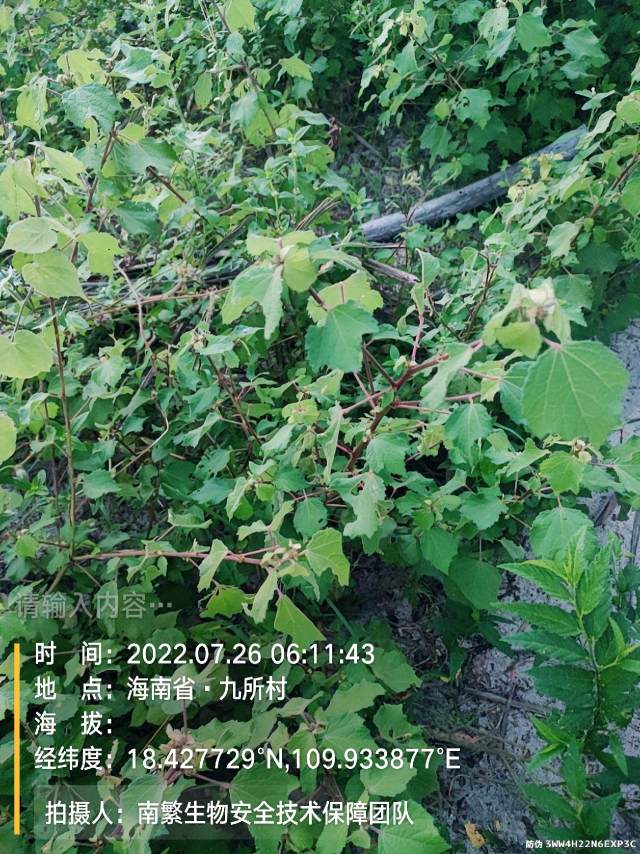 请输入内容…