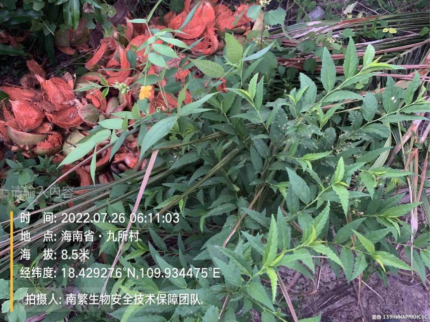 请输入内容…
