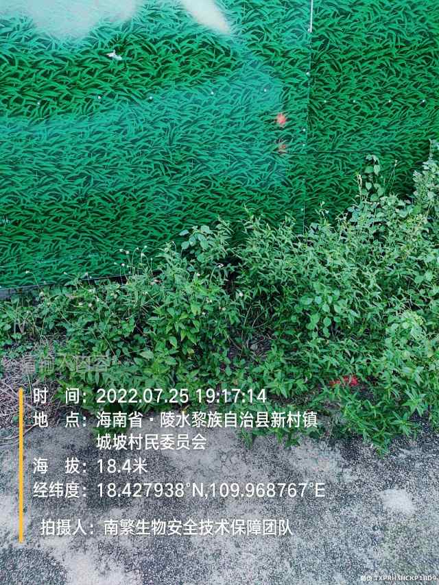 请输入内容…