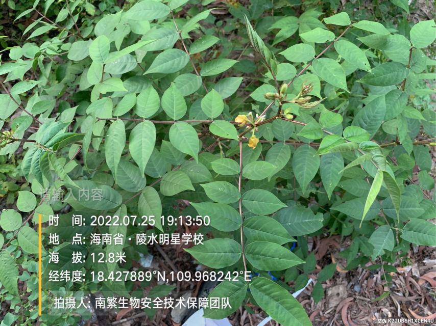 请输入内容…