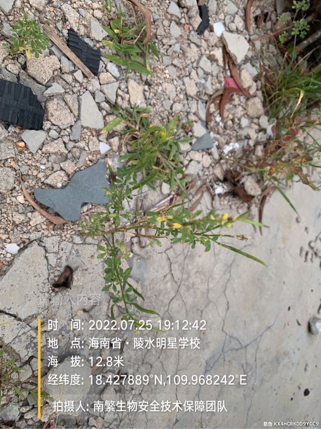 请输入内容…