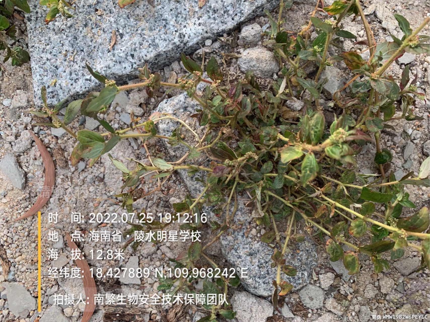 请输入内容…