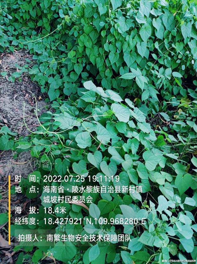 请输入内容…