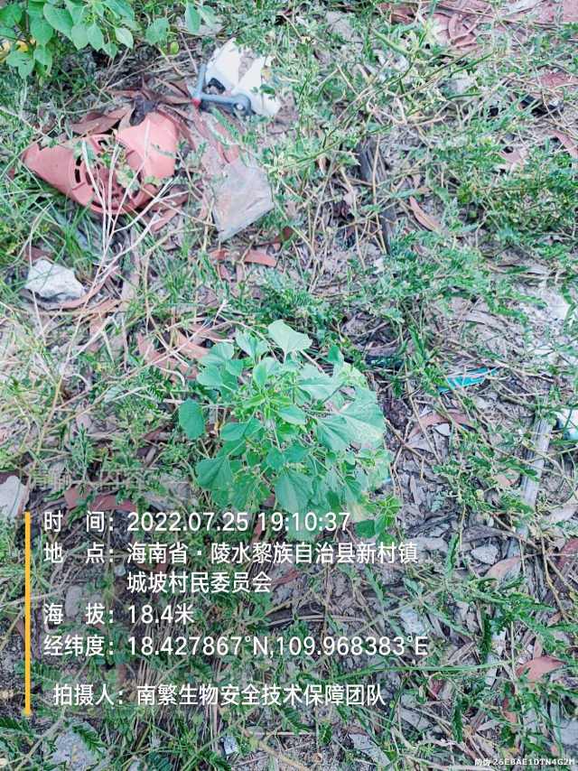 请输入内容…