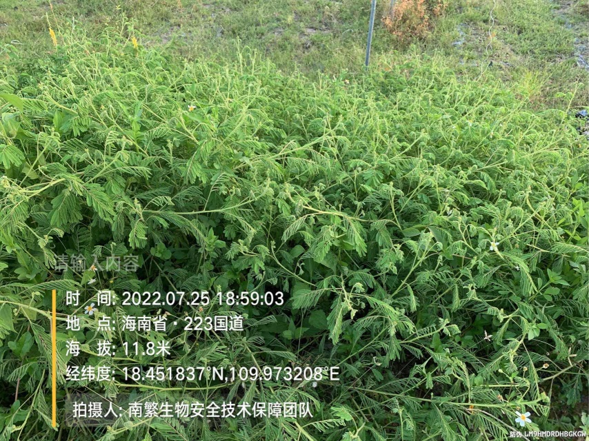 请输入内容…