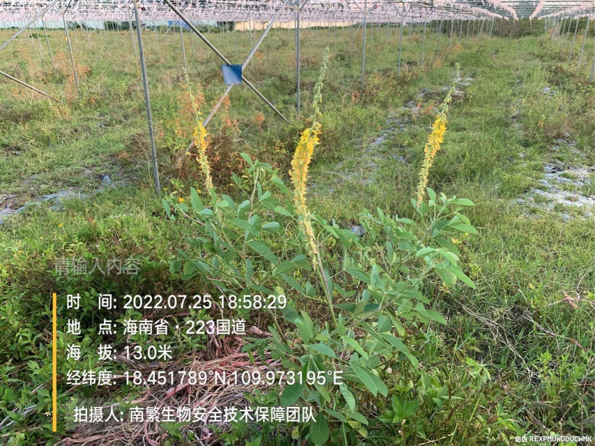 请输入内容…