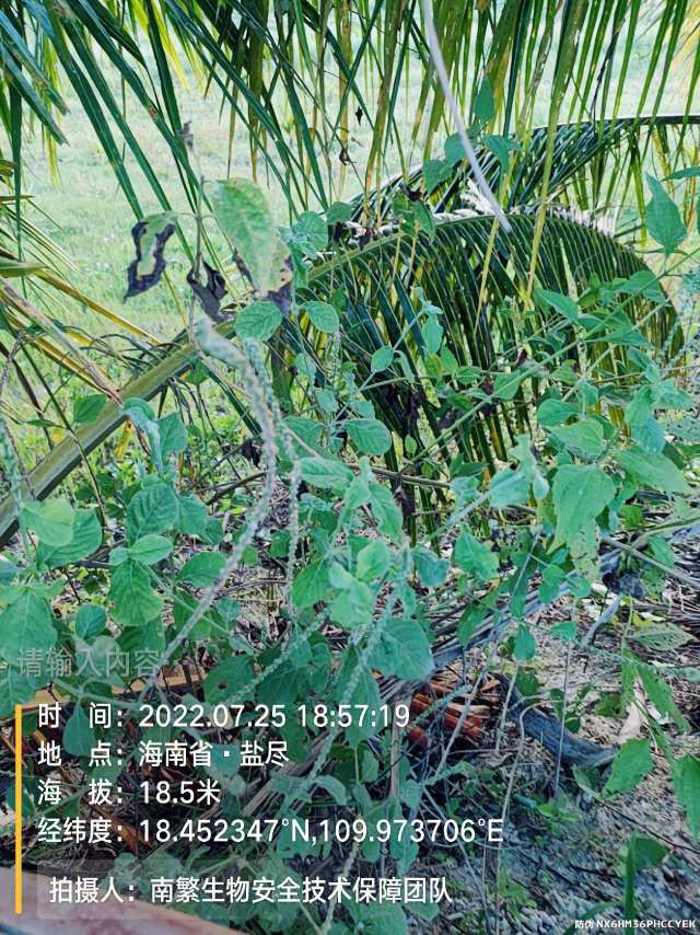 请输入内容…