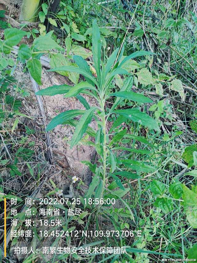 请输入内容…