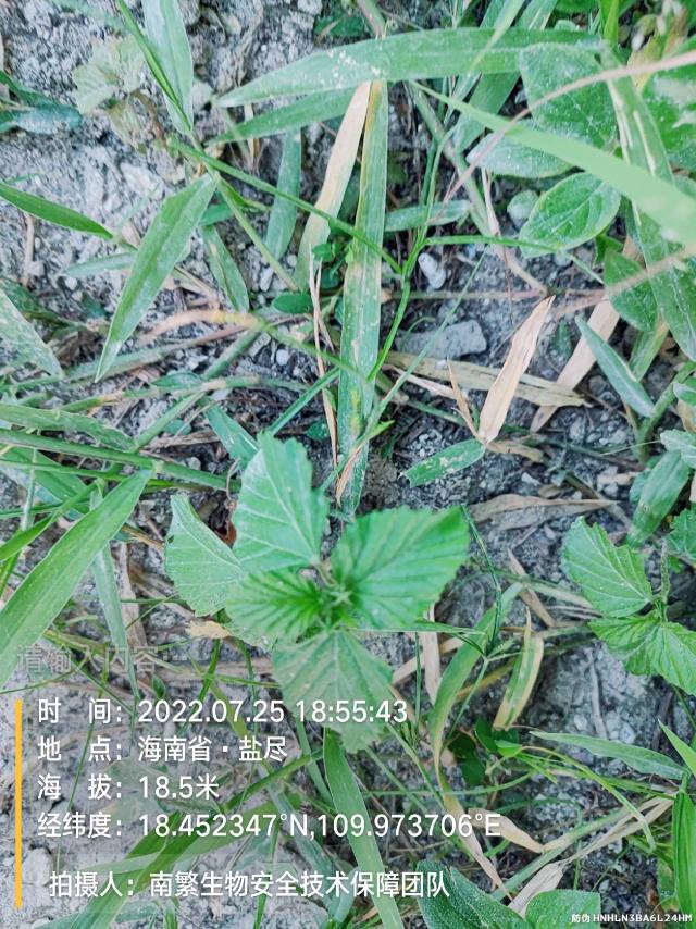 请输入内容…