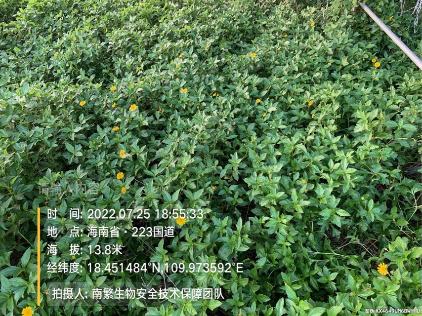 请输入内容…