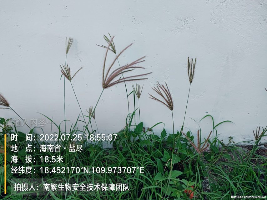 请输入内容…