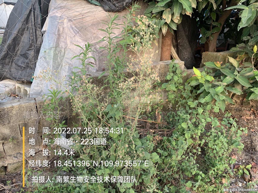 请输入内容…