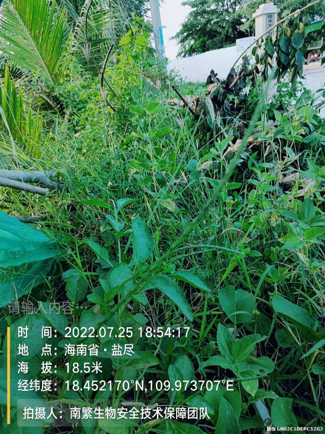 请输入内容…