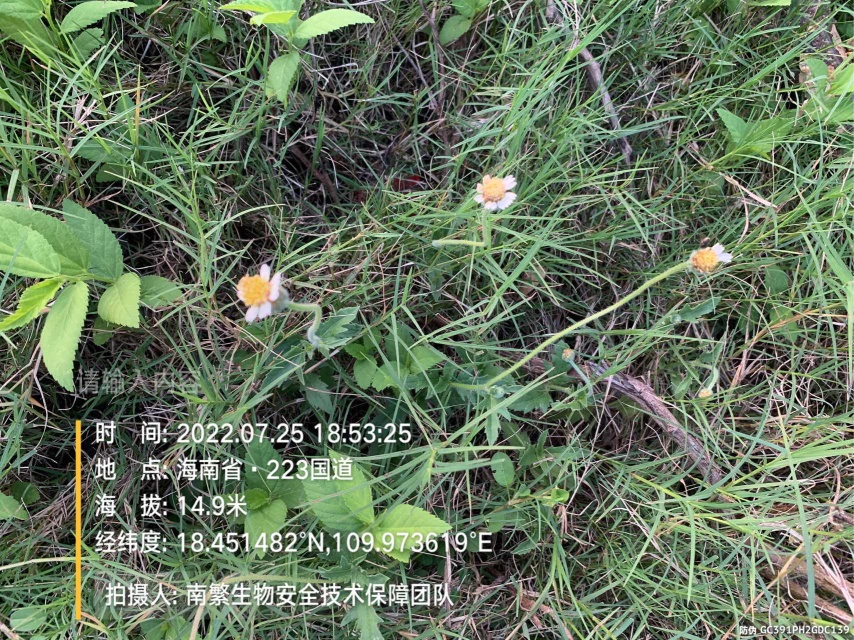 请输入内容…