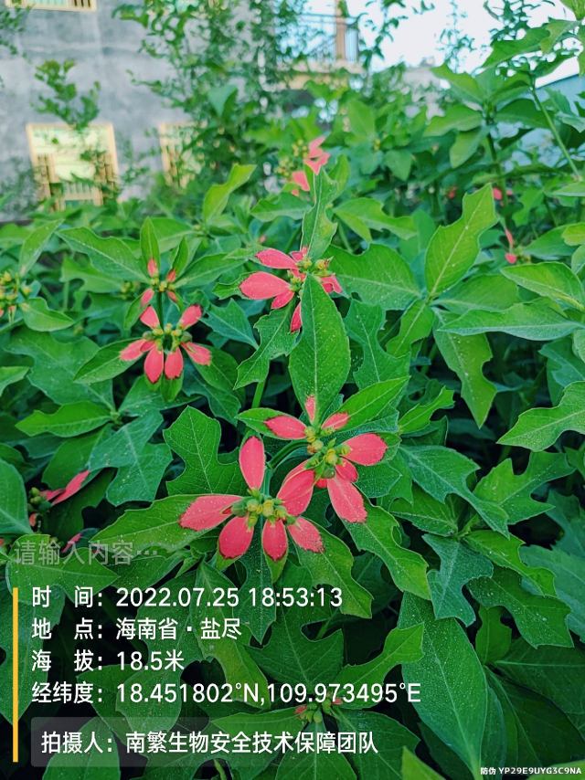 请输入内容…
