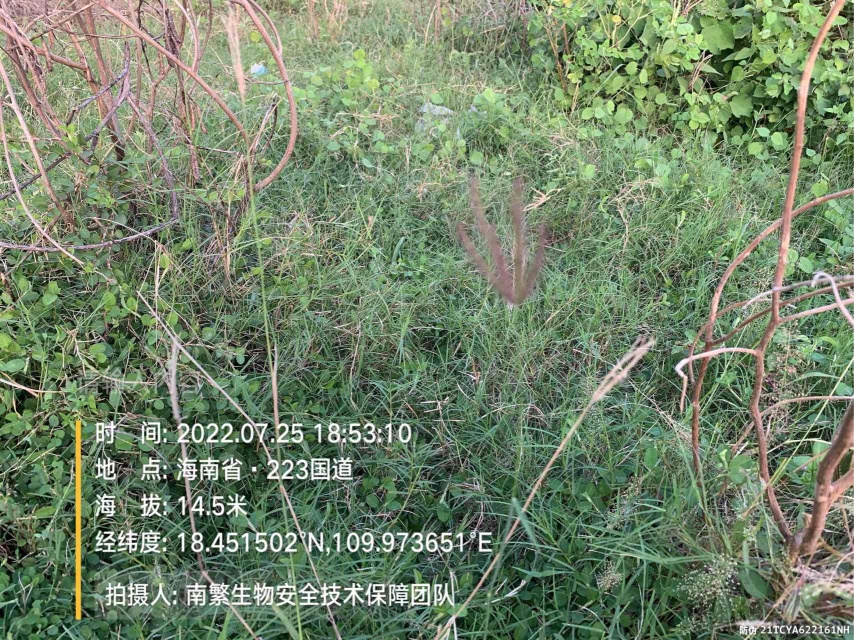 请输入内容…
