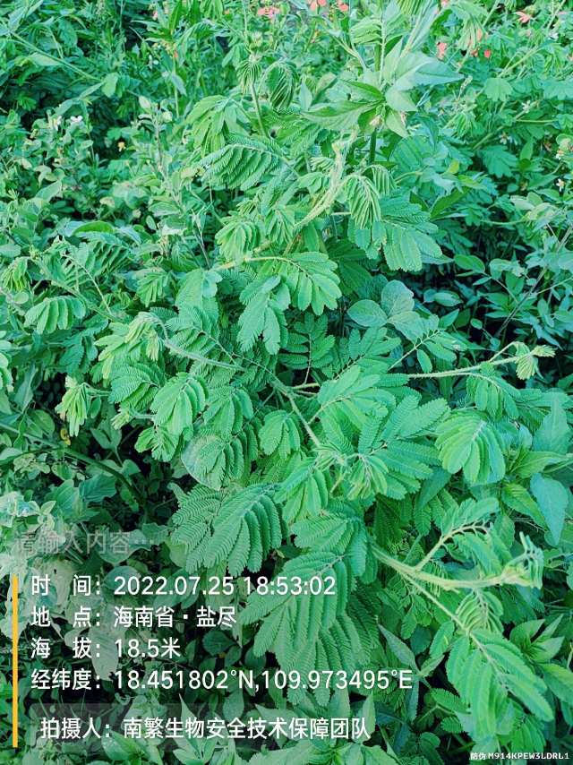 请输入内容…