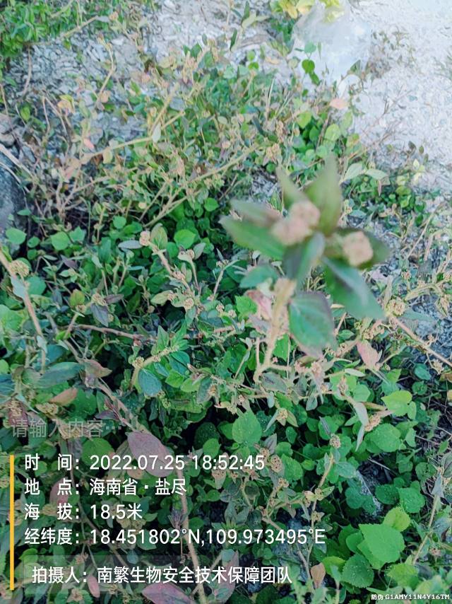 请输入内容…