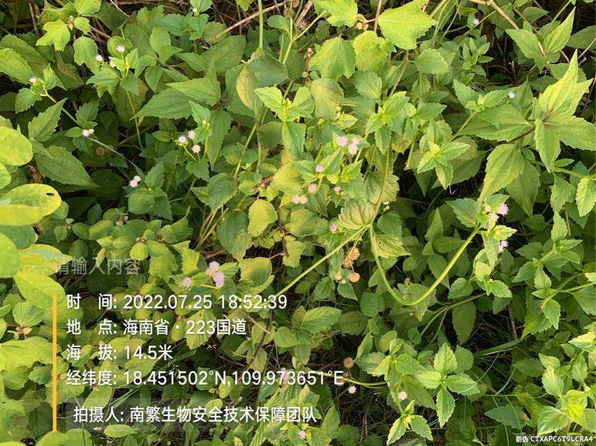 请输入内容…