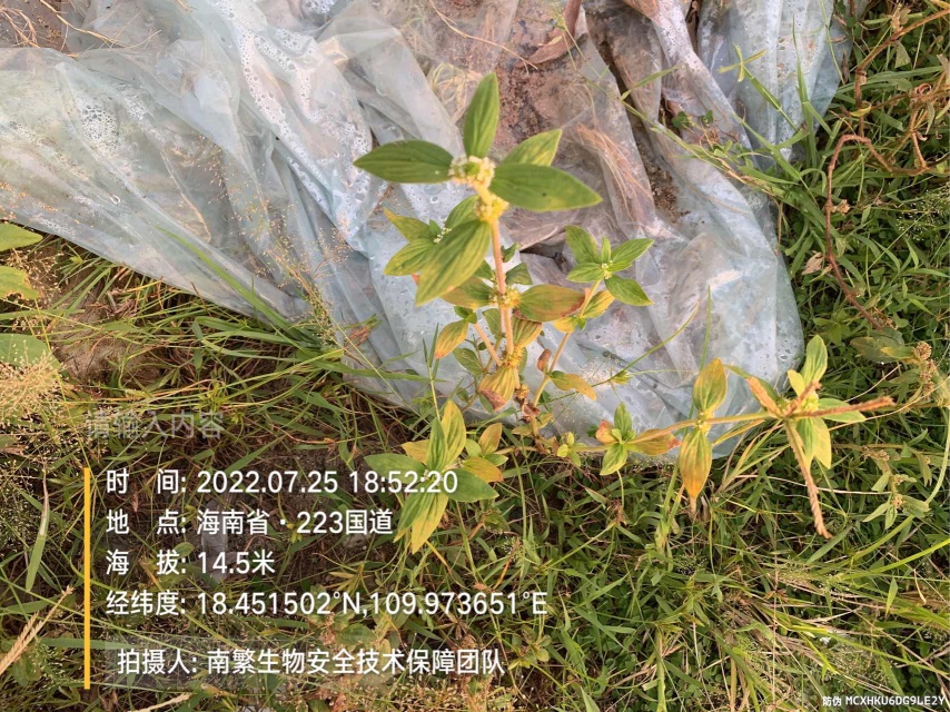 请输入内容…