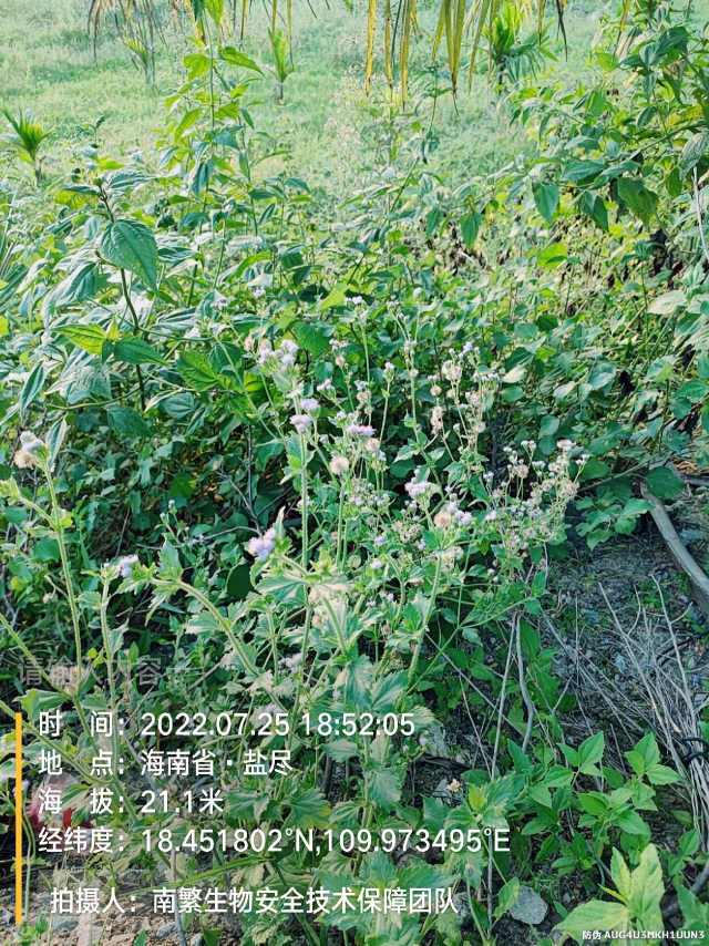 请输入内容…