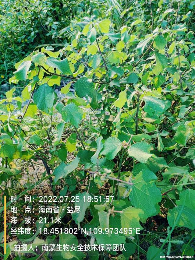 请输入内容…