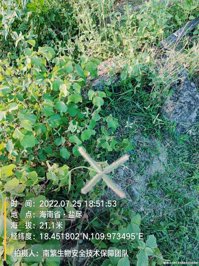 请输入内容…