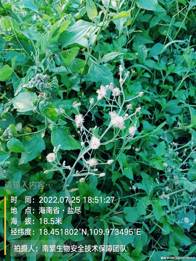 请输入内容…