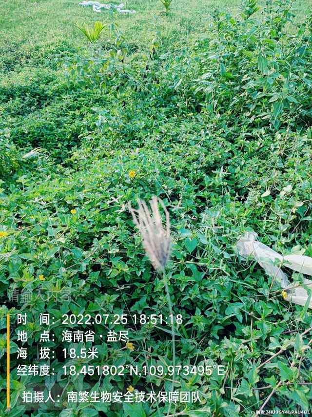 请输入内容…
