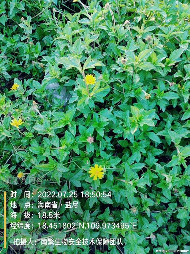请输入内容…